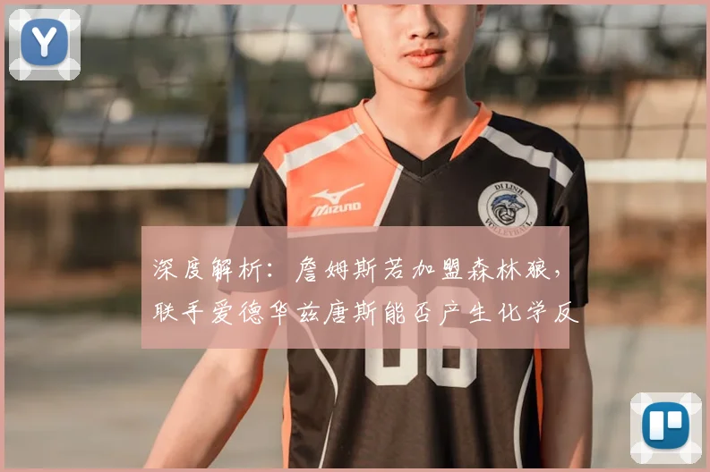 深度解析：詹姆斯若加盟森林狼，联手爱德华兹唐斯能否产生化学反应？