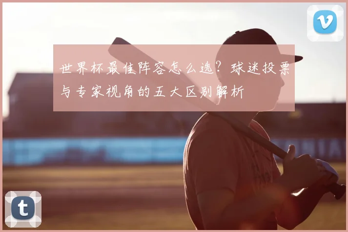 世界杯最佳阵容怎么选？球迷投票与专家视角的五大区别解析