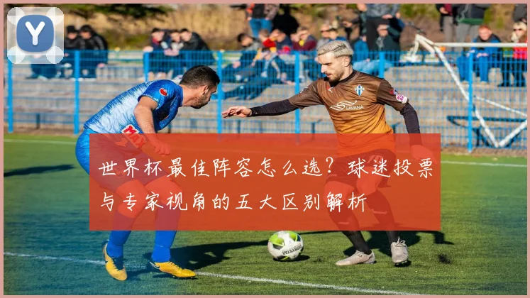 世界杯最佳阵容怎么选？球迷投票与专家视角的五大区别解析